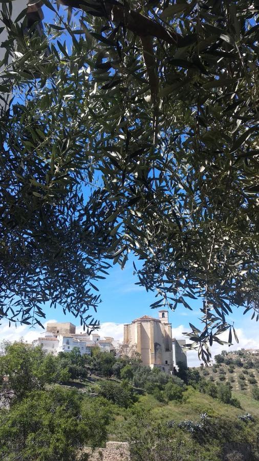 Apartamento El Carmen Setenil De Las Bodegas Eksteriør bilde