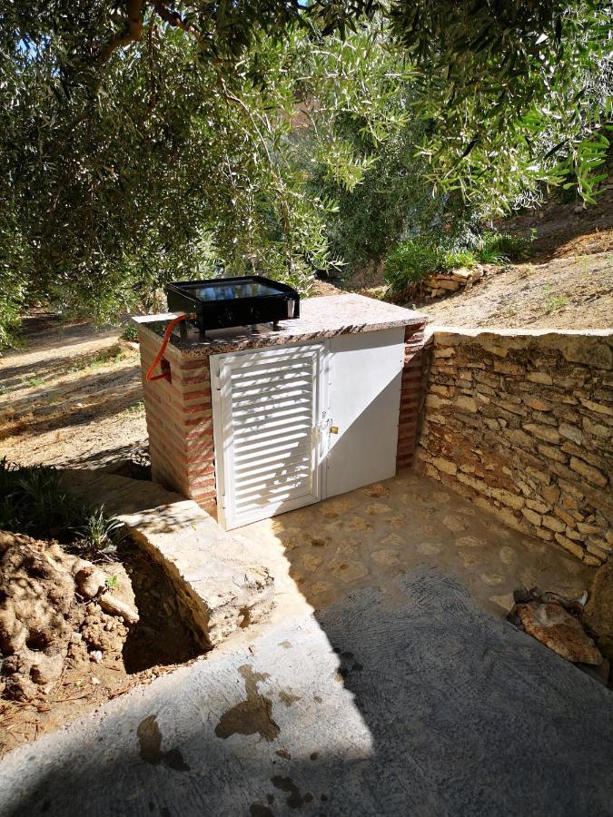 Apartamento El Carmen Setenil De Las Bodegas Eksteriør bilde