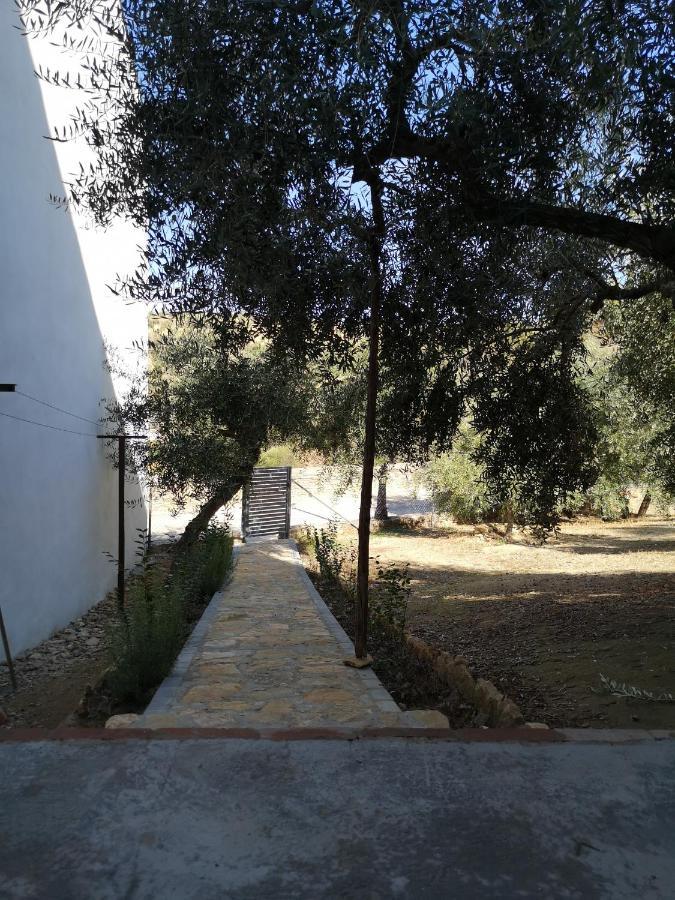Apartamento El Carmen Setenil De Las Bodegas Eksteriør bilde